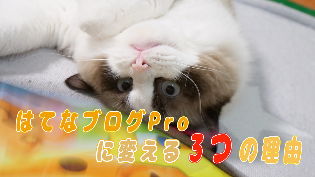 f:id:popohaku:20210316231422j:plain