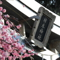 20180303091553