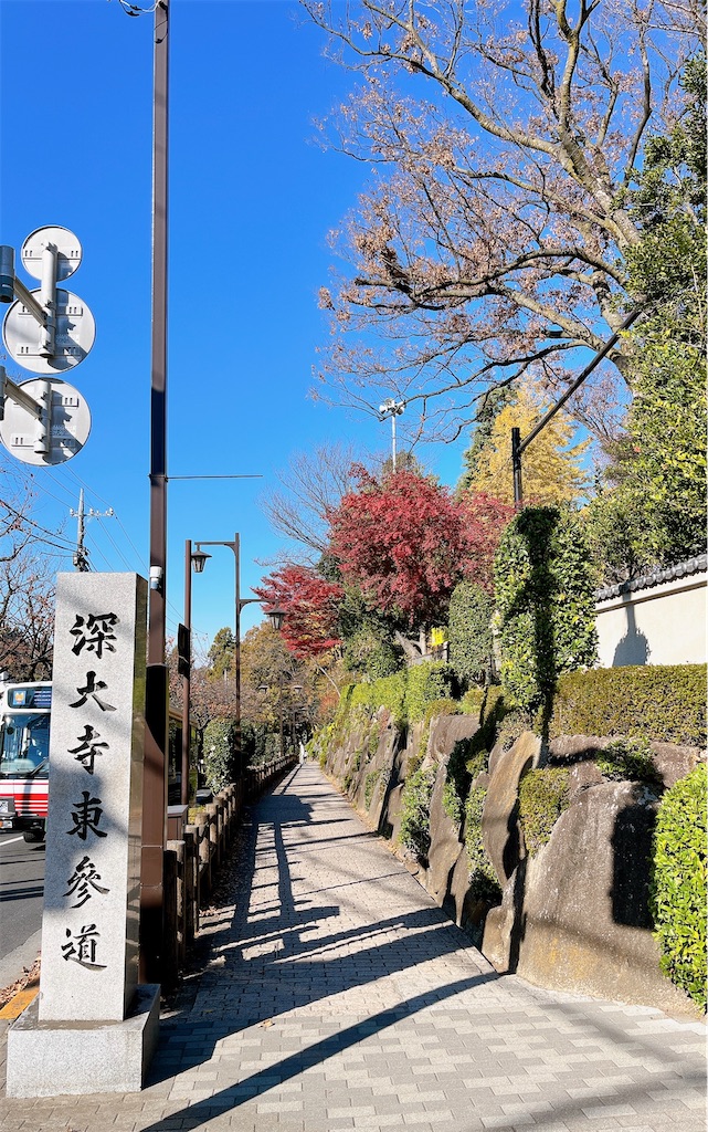 f:id:popohaumom:20231204215601j:image f:id:popohaumom:20231204215601j:image