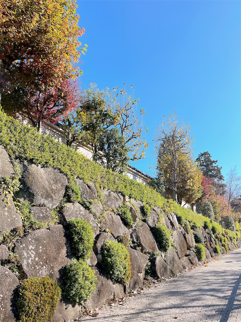 f:id:popohaumom:20231204215639j:image f:id:popohaumom:20231204215639j:image