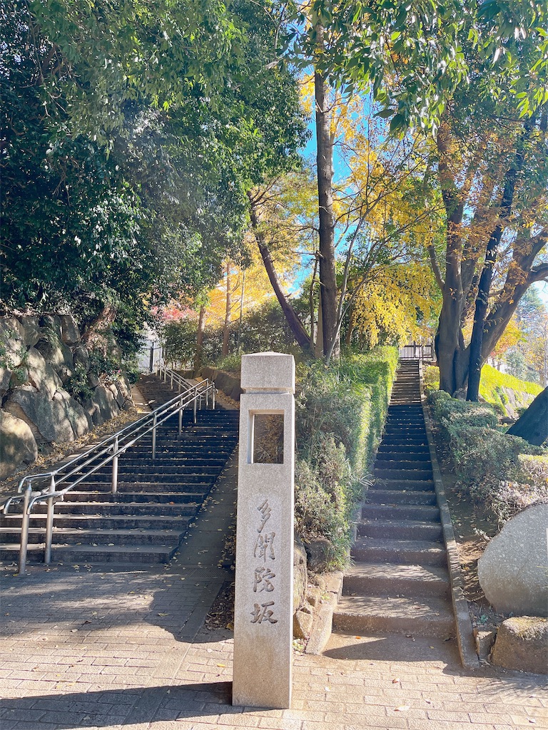 f:id:popohaumom:20231204215712j:image f:id:popohaumom:20231204215712j:image