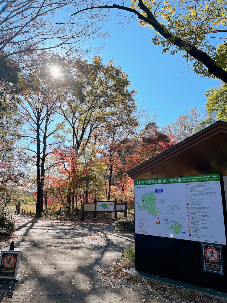 f:id:popohaumom:20231204215804j:image f:id:popohaumom:20231204215804j:image