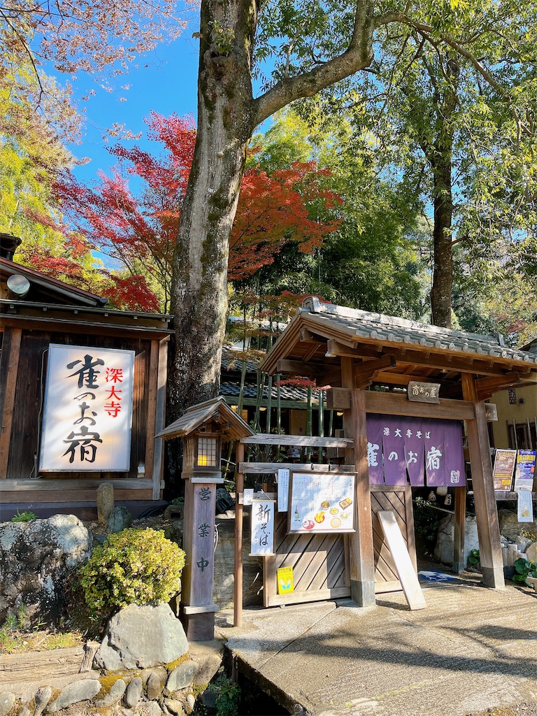 f:id:popohaumom:20231204215844j:image f:id:popohaumom:20231204215844j:image