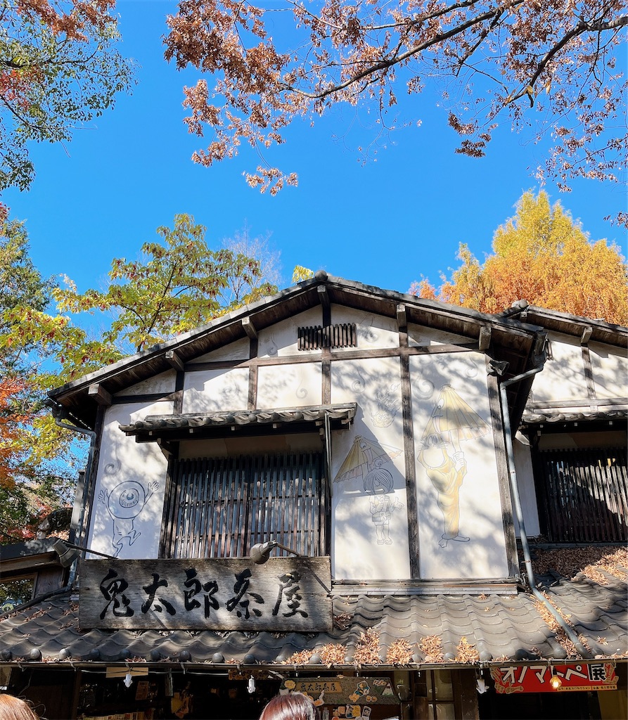 f:id:popohaumom:20231204220036j:image f:id:popohaumom:20231204220036j:image