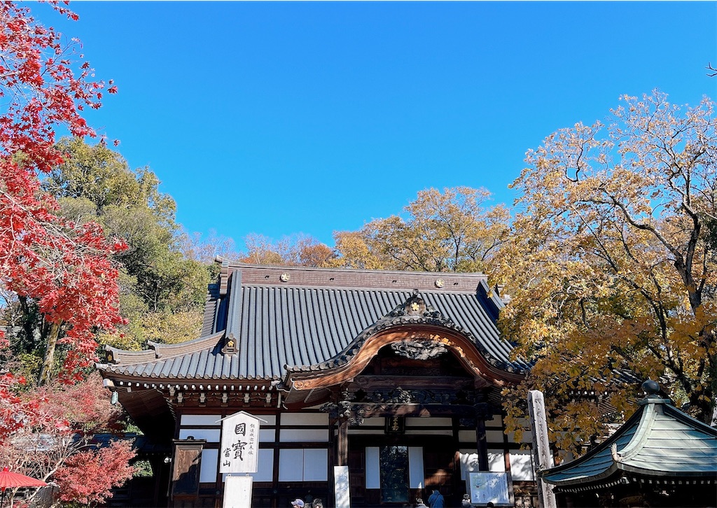 f:id:popohaumom:20231204220236j:image f:id:popohaumom:20231204220236j:image