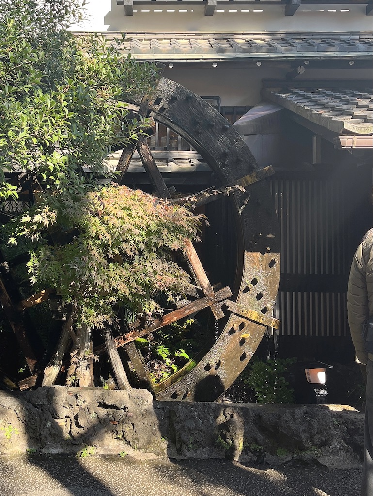 f:id:popohaumom:20231204220418j:image f:id:popohaumom:20231204220418j:image