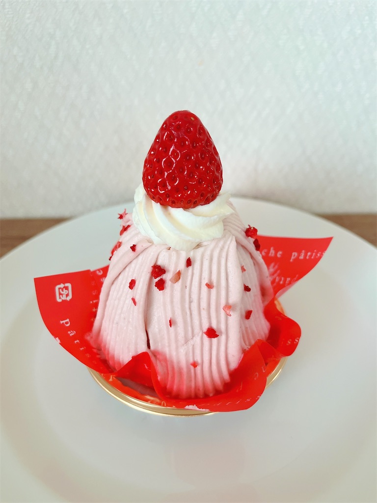 f:id:popohaumom:20240324181722j:image