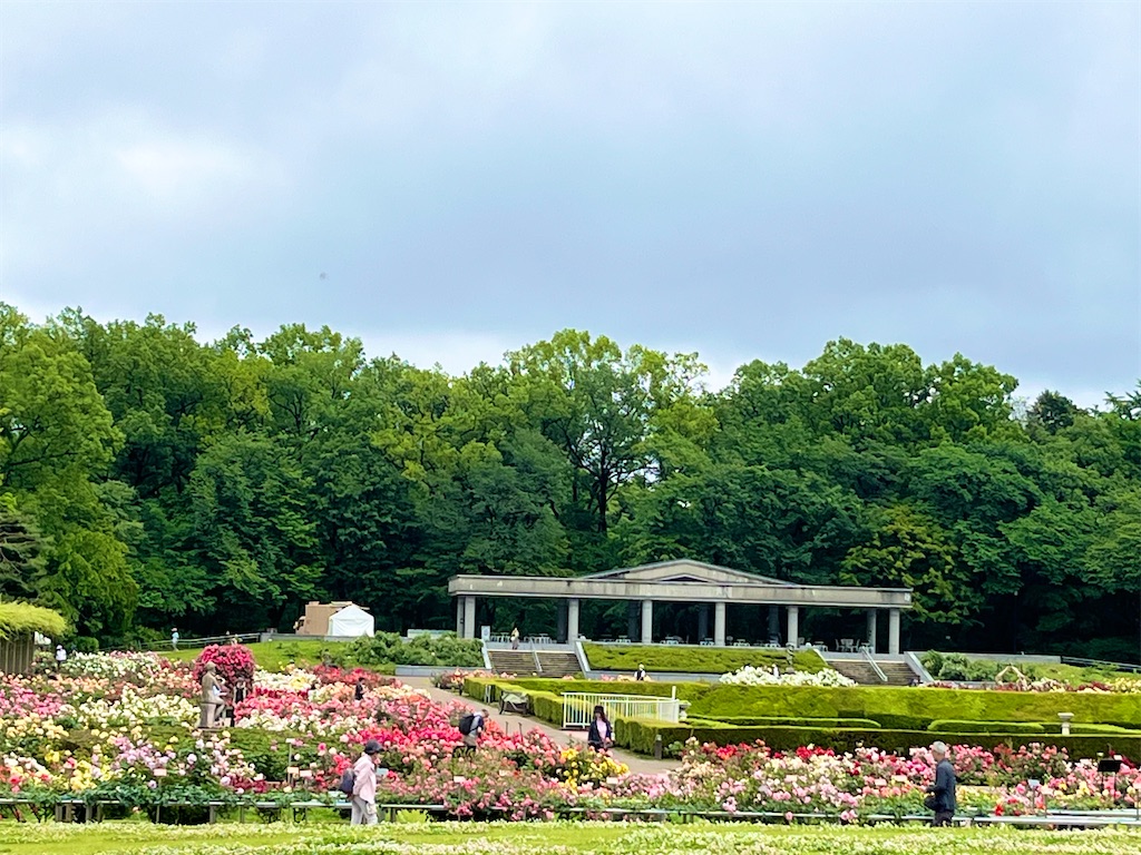 f:id:popohaumom:20240516163640j:image