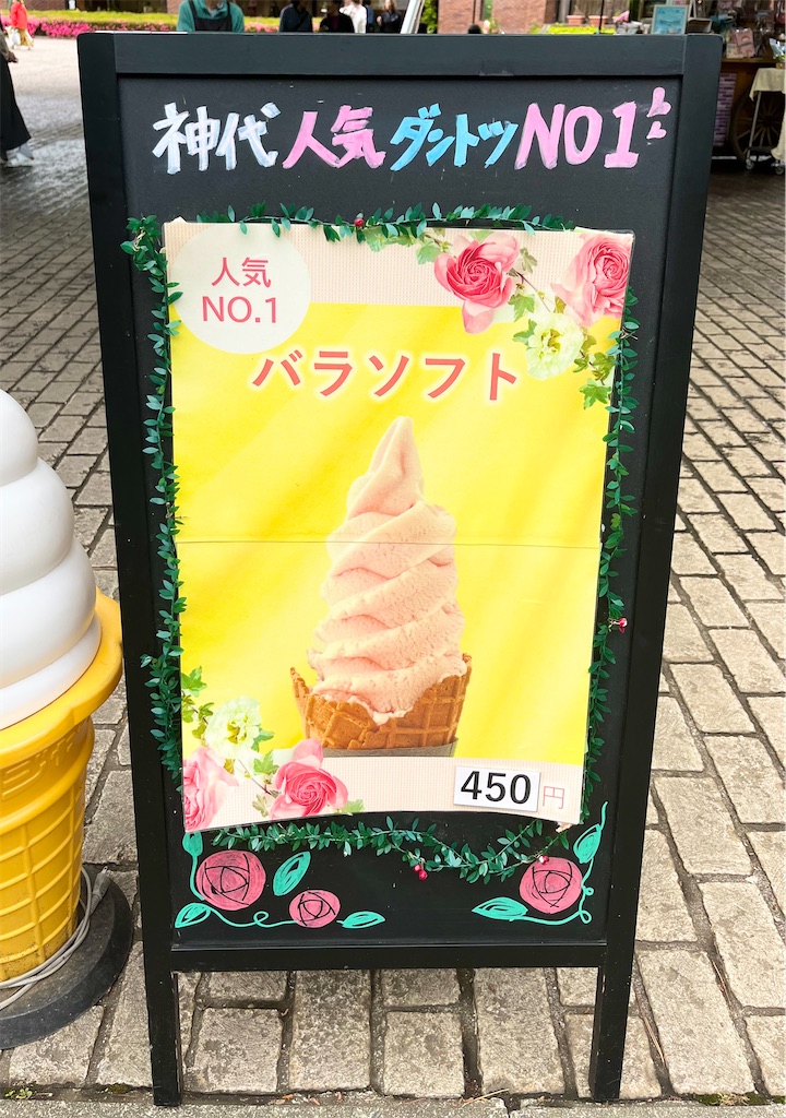 f:id:popohaumom:20240516163800j:image