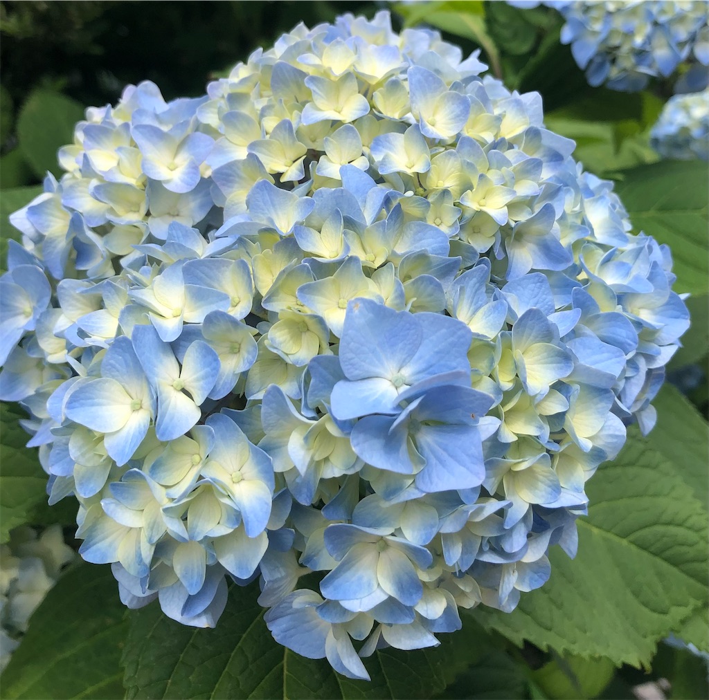 f:id:popohaumom:20240524204646j:image f:id:popohaumom:20240524204646j:image