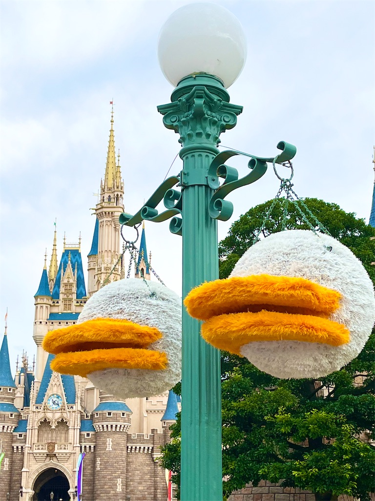 f:id:popohaumom:20240619205515j:image f:id:popohaumom:20240619205515j:image