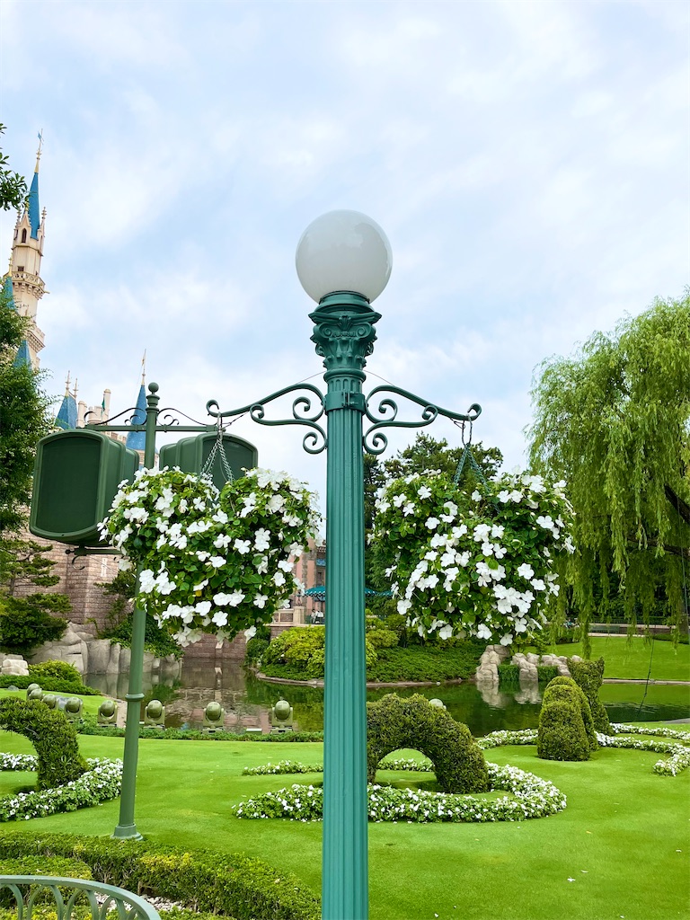 f:id:popohaumom:20240619211454j:image f:id:popohaumom:20240619211454j:image