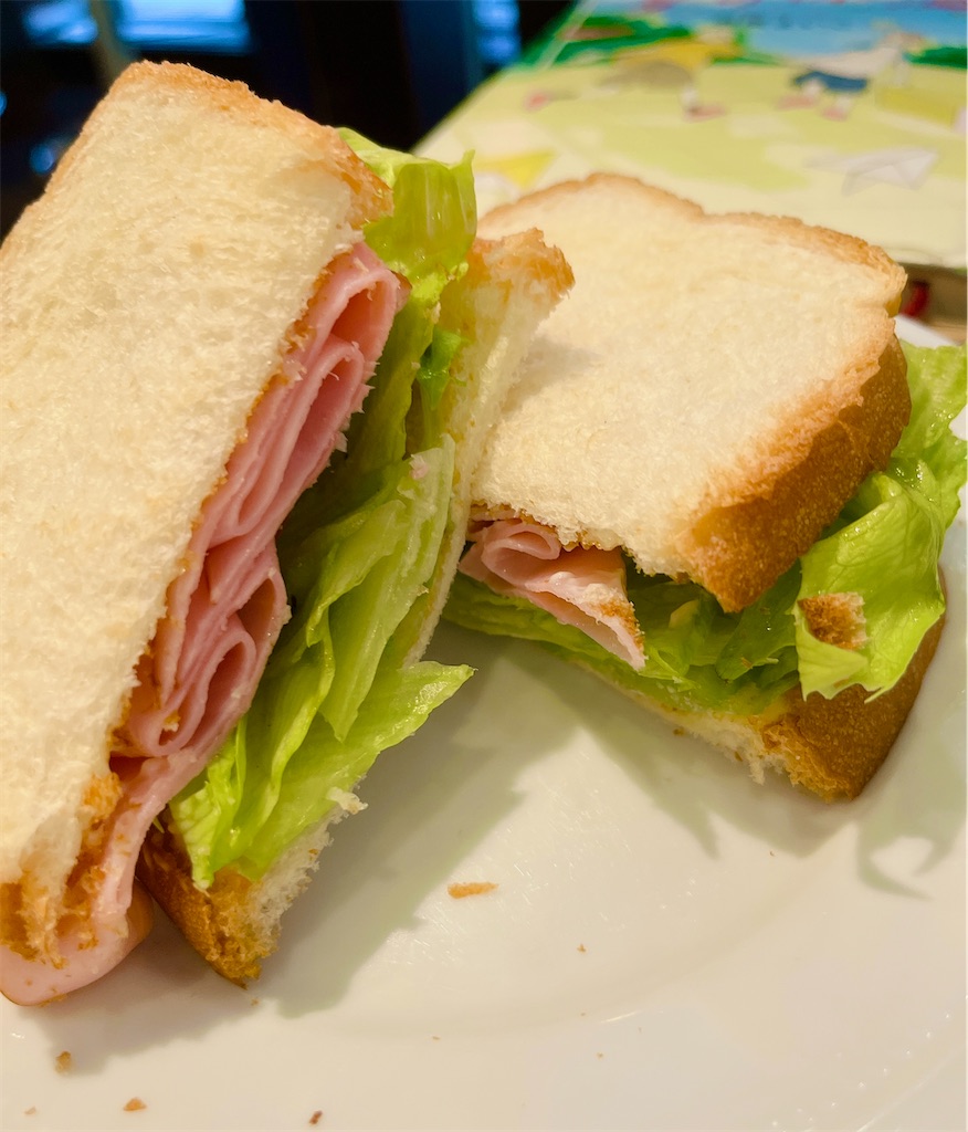 f:id:popohaumom:20240711193555j:image