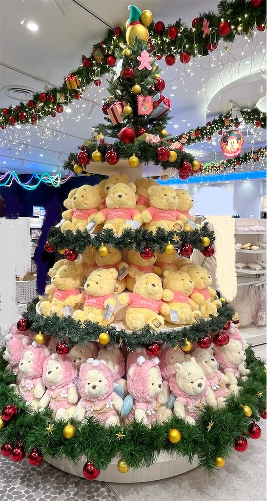 f:id:popohaumom:20241124200604j:image