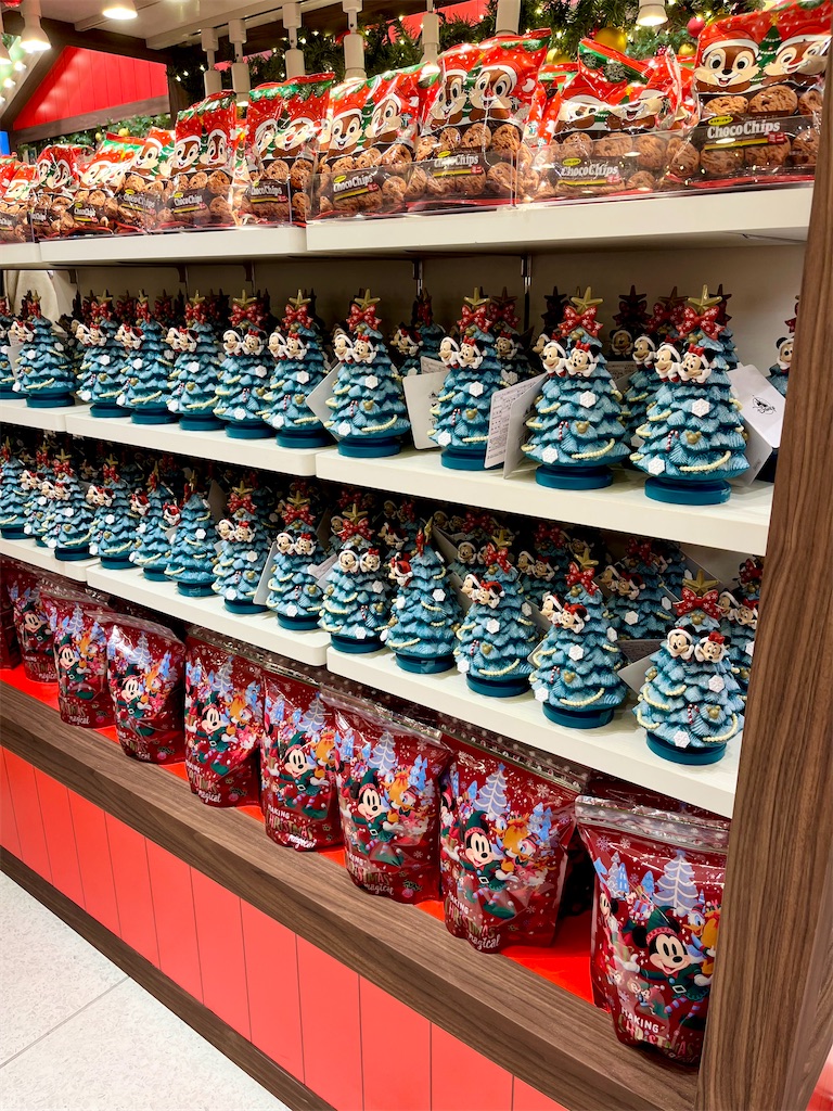 f:id:popohaumom:20241124200611j:image