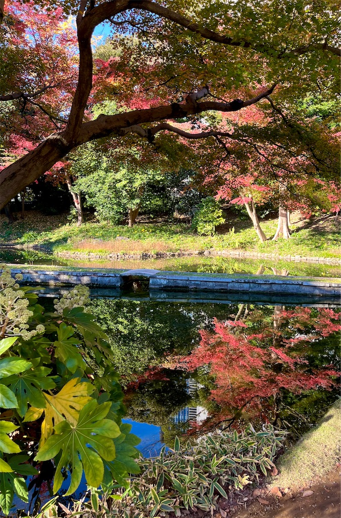 f:id:popohaumom:20241201181948j:image f:id:popohaumom:20241201181948j:image