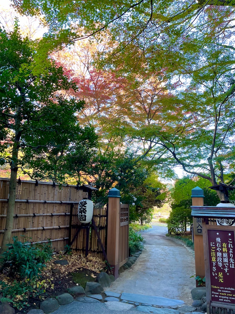 f:id:popohaumom:20241201181952j:image f:id:popohaumom:20241201181952j:image