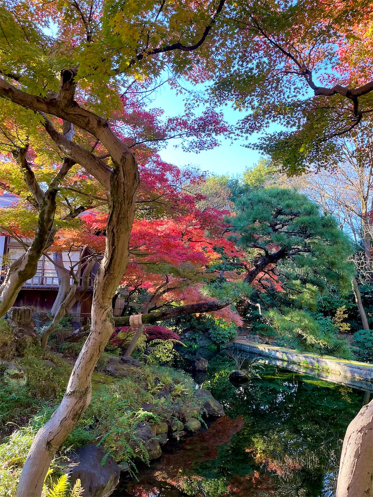 f:id:popohaumom:20241201182031j:image f:id:popohaumom:20241201182031j:image