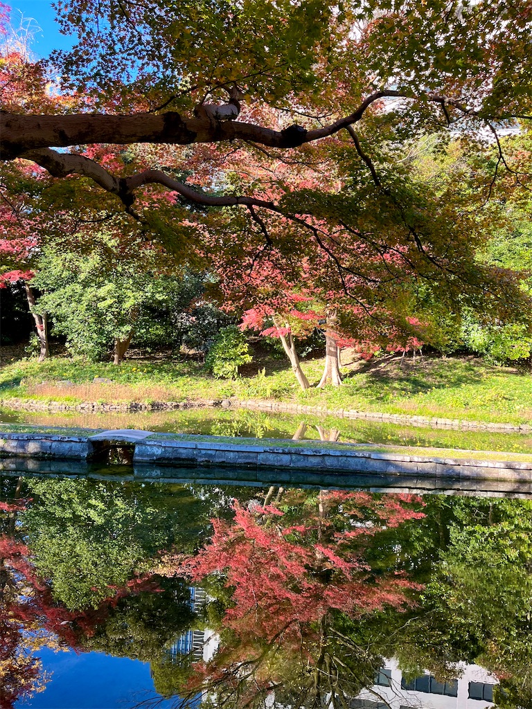 f:id:popohaumom:20241201182038j:image f:id:popohaumom:20241201182038j:image