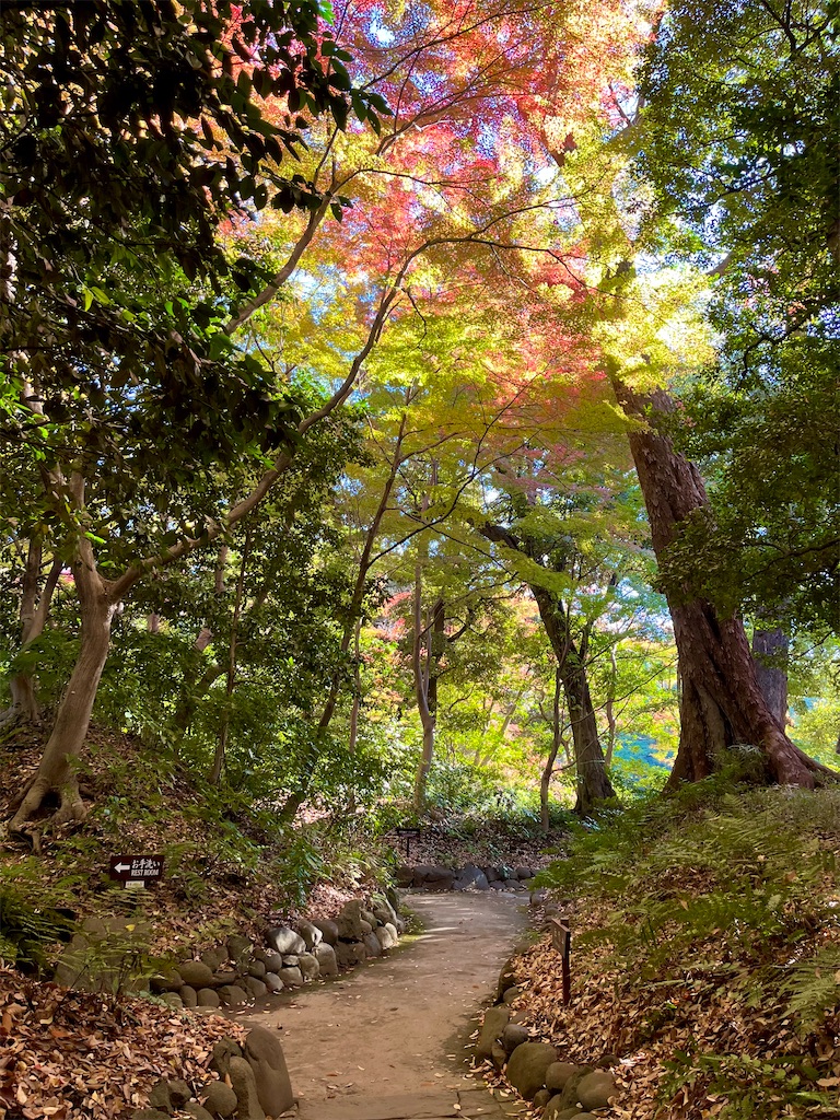 f:id:popohaumom:20241201182041j:image f:id:popohaumom:20241201182041j:image