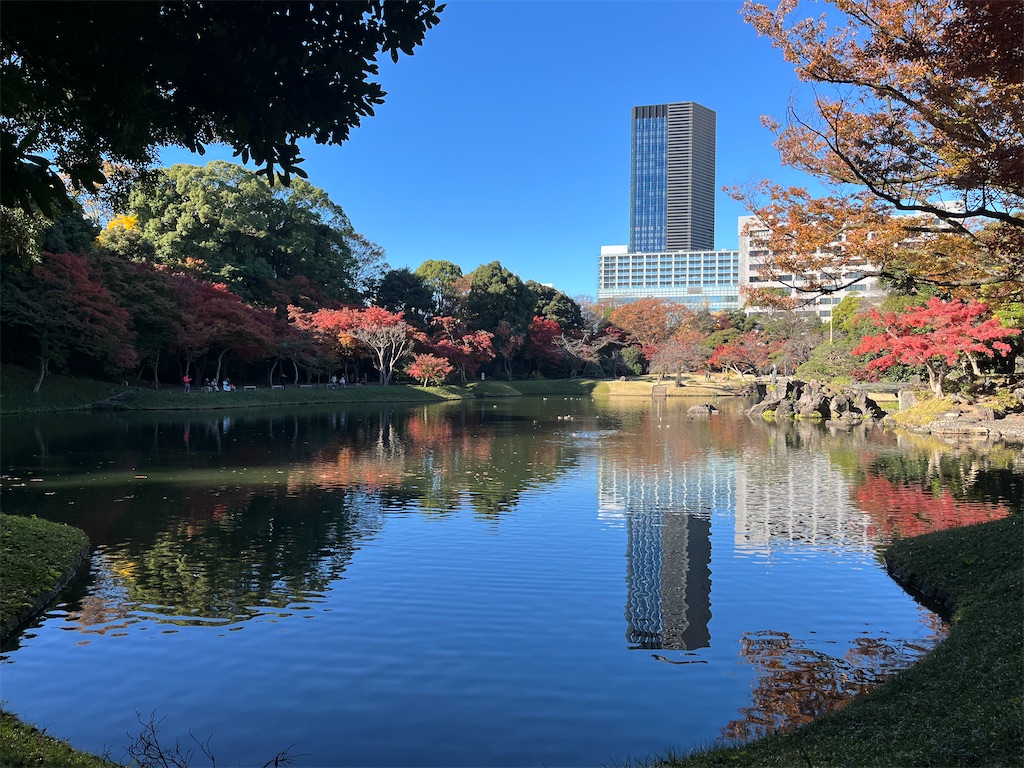 f:id:popohaumom:20241201182044j:image f:id:popohaumom:20241201182044j:image