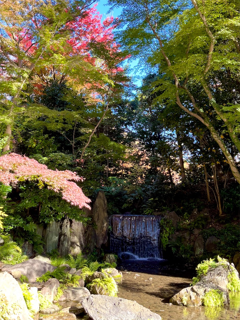 f:id:popohaumom:20241201182126j:image f:id:popohaumom:20241201182126j:image