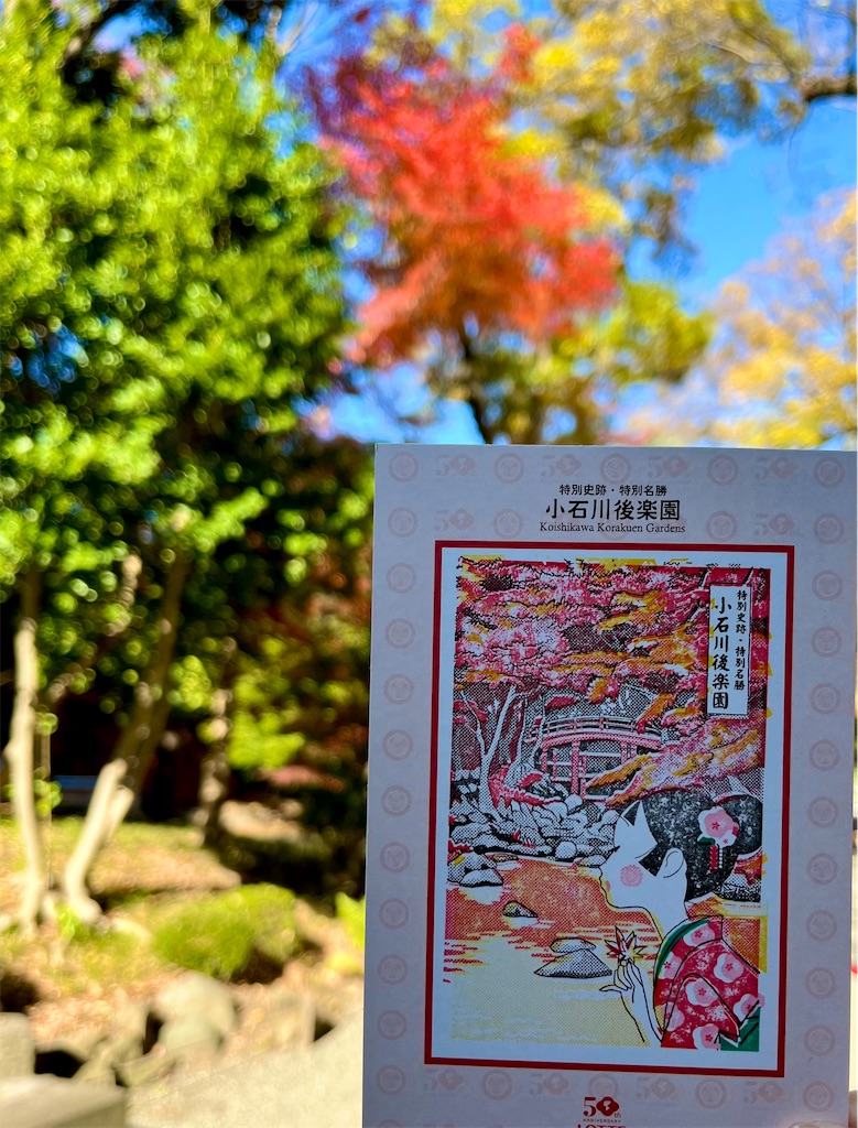 f:id:popohaumom:20241201182212j:image f:id:popohaumom:20241201182212j:image