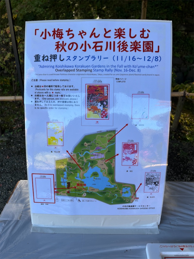 f:id:popohaumom:20241201212016j:image f:id:popohaumom:20241201212016j:image