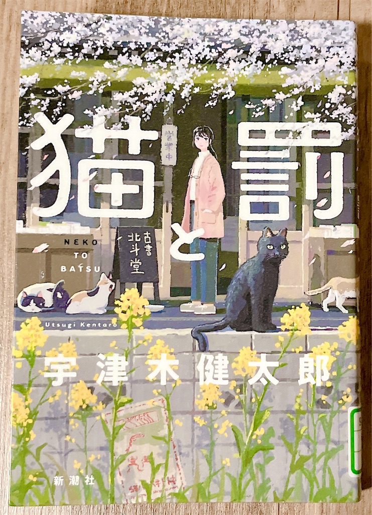 f:id:popohaumom:20241217195551j:image
