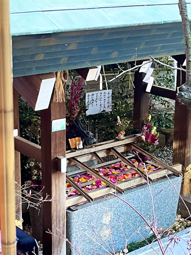 f:id:popohaumom:20250118203938j:image