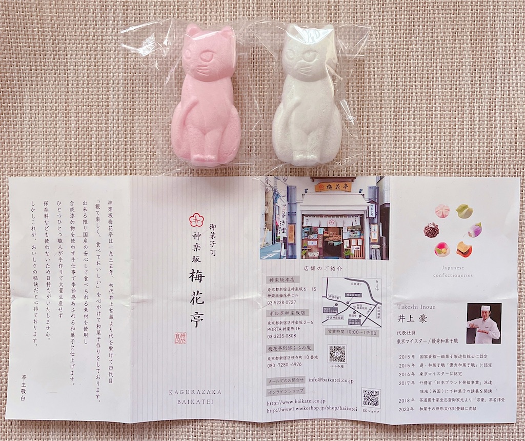 f:id:popohaumom:20250121194500j:image