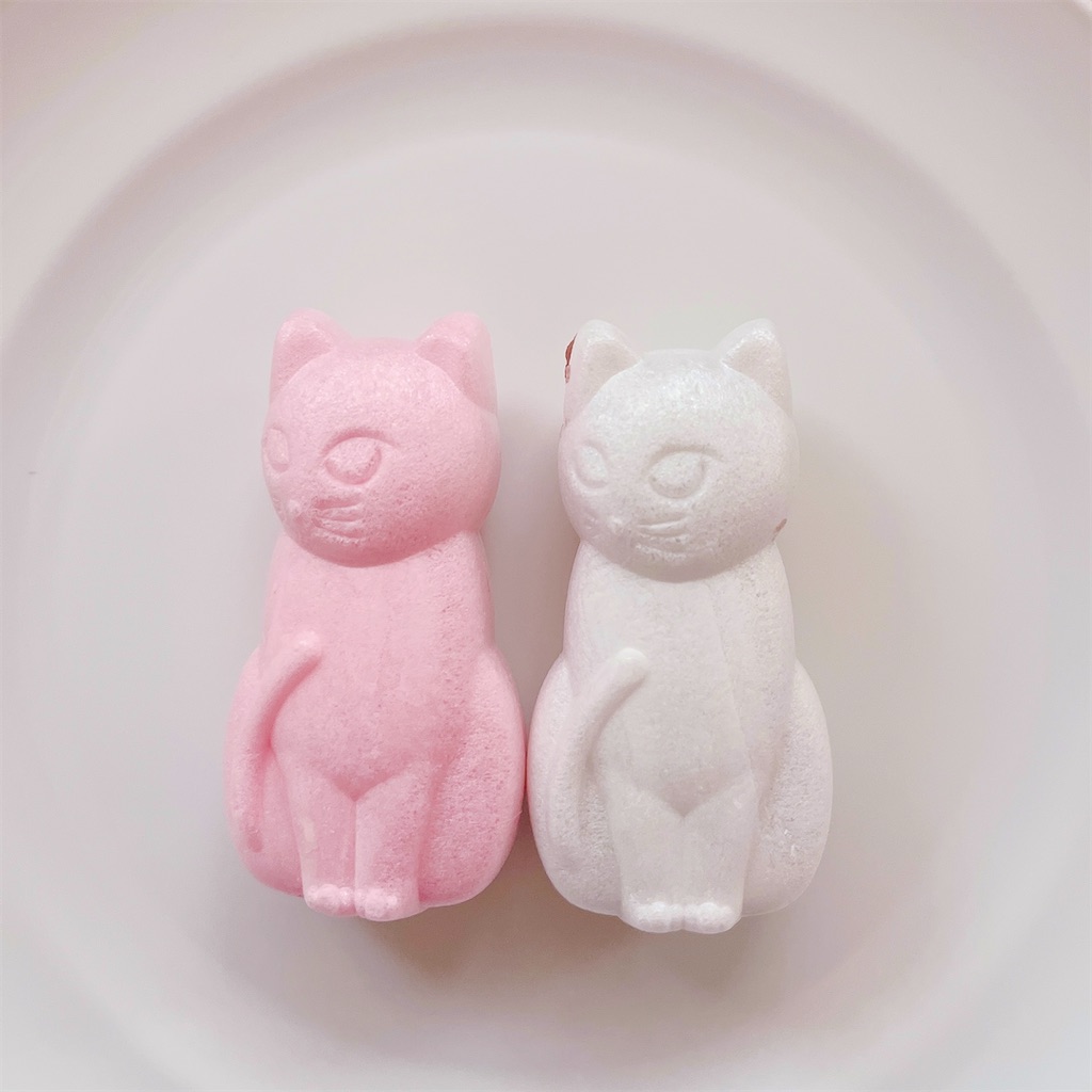 f:id:popohaumom:20250121194507j:image