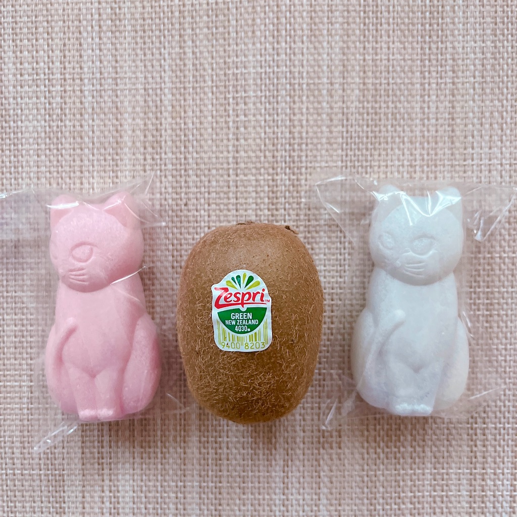 f:id:popohaumom:20250121194510j:image