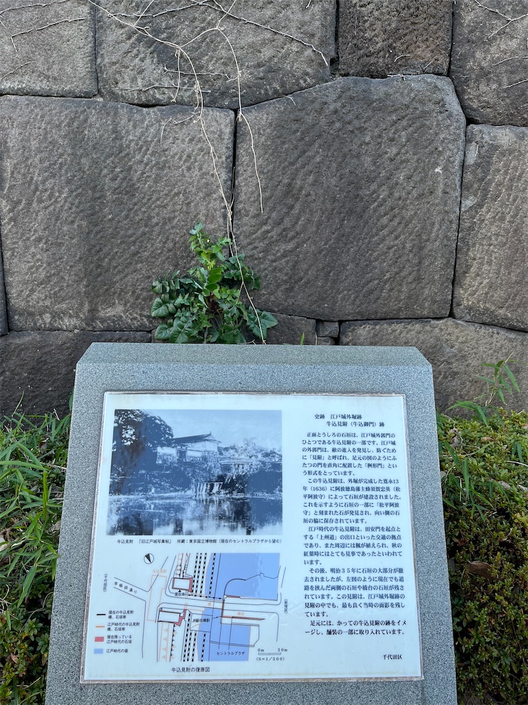 f:id:popohaumom:20250121195211j:image