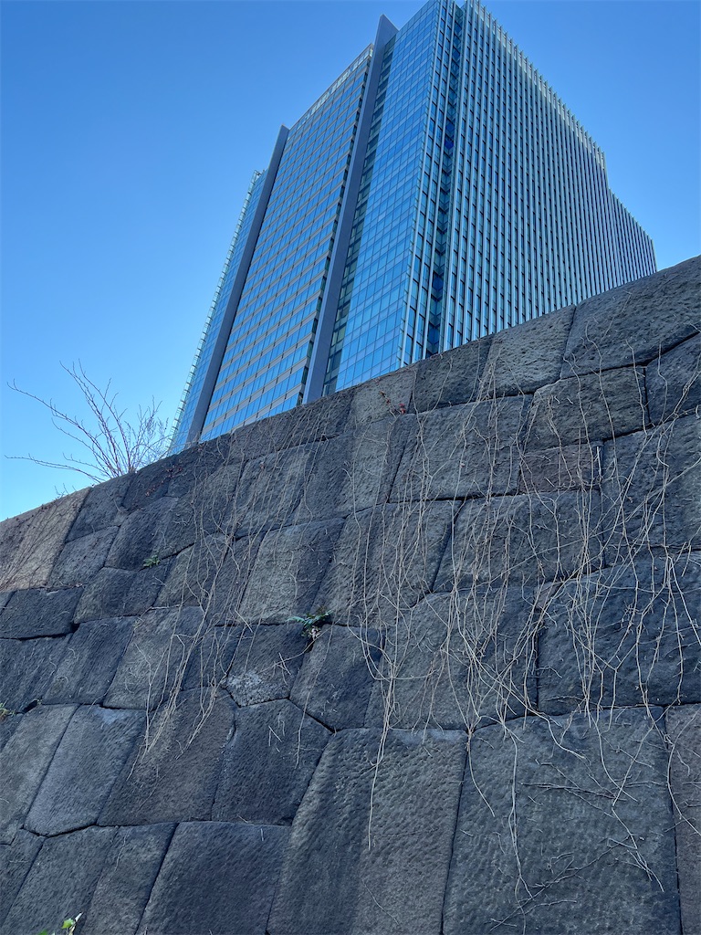 f:id:popohaumom:20250121195215j:image