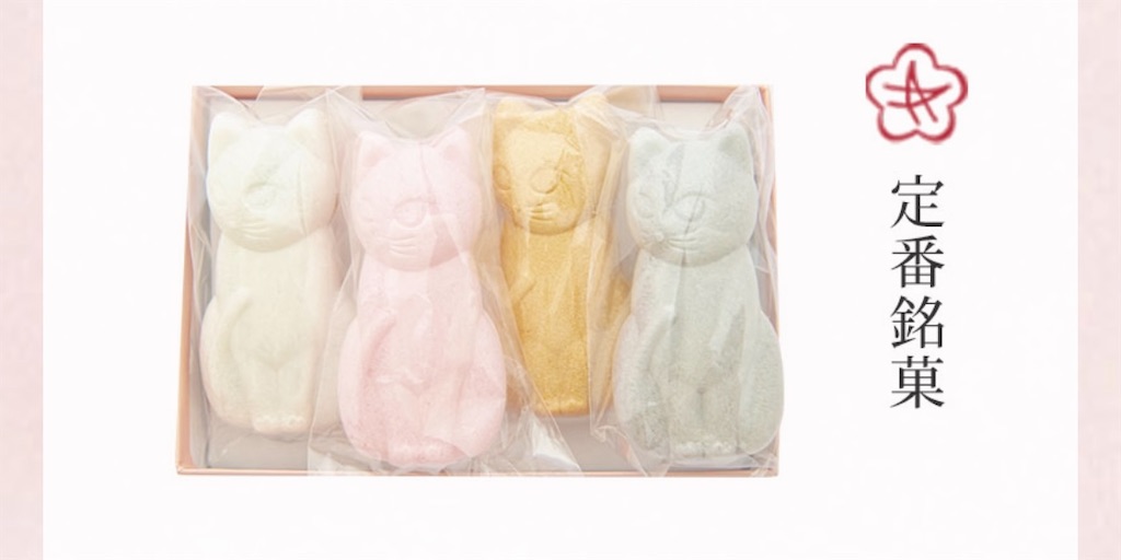 f:id:popohaumom:20250121201147j:image