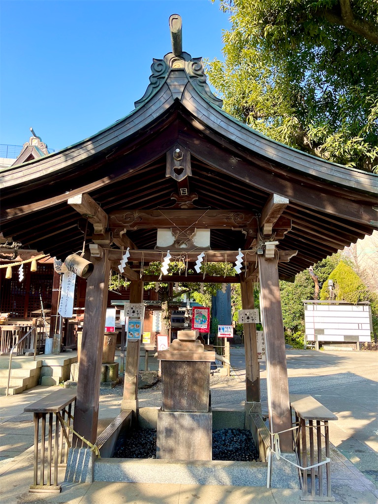 f:id:popohaumom:20250123194123j:image