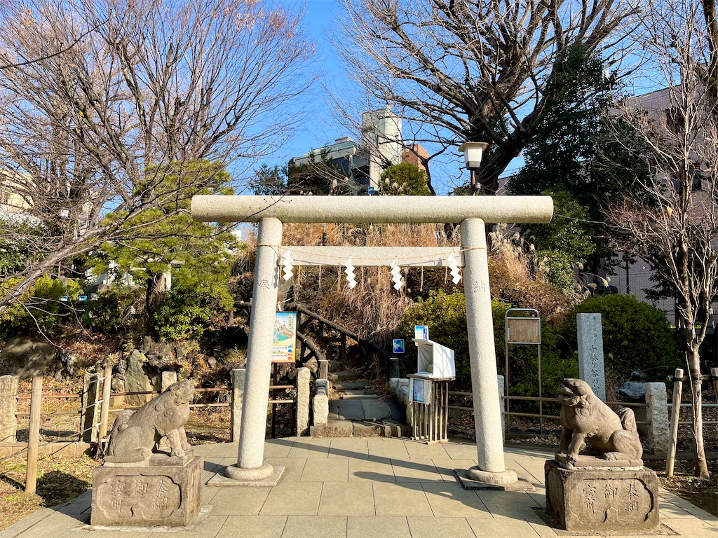 f:id:popohaumom:20250123194208j:image