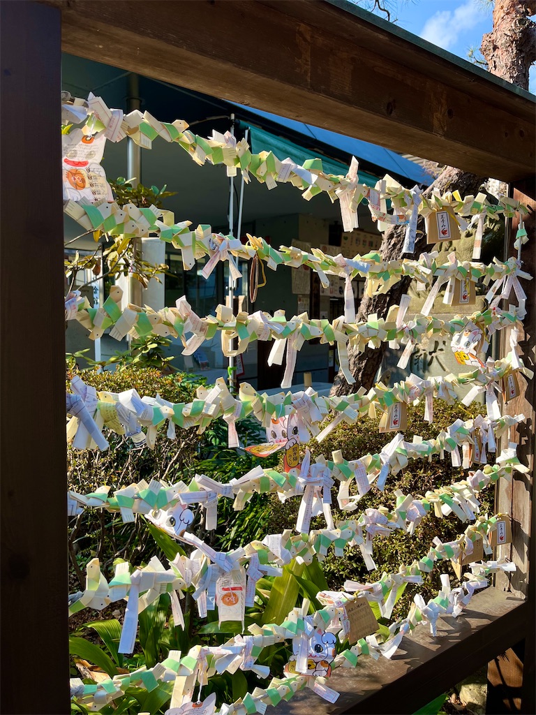 f:id:popohaumom:20250123194211j:image