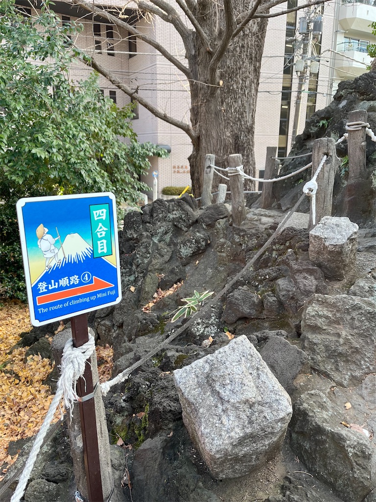 f:id:popohaumom:20250123194215j:image