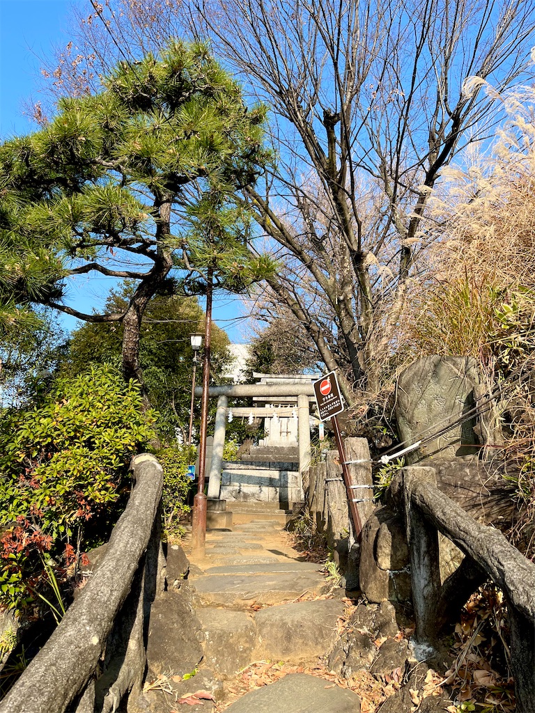 f:id:popohaumom:20250123194225j:image