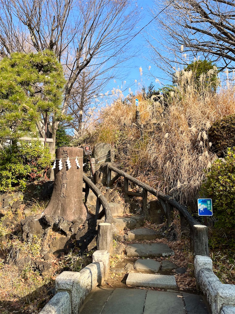 f:id:popohaumom:20250123194232j:image