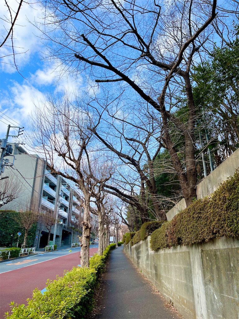 f:id:popohaumom:20250124201238j:image
