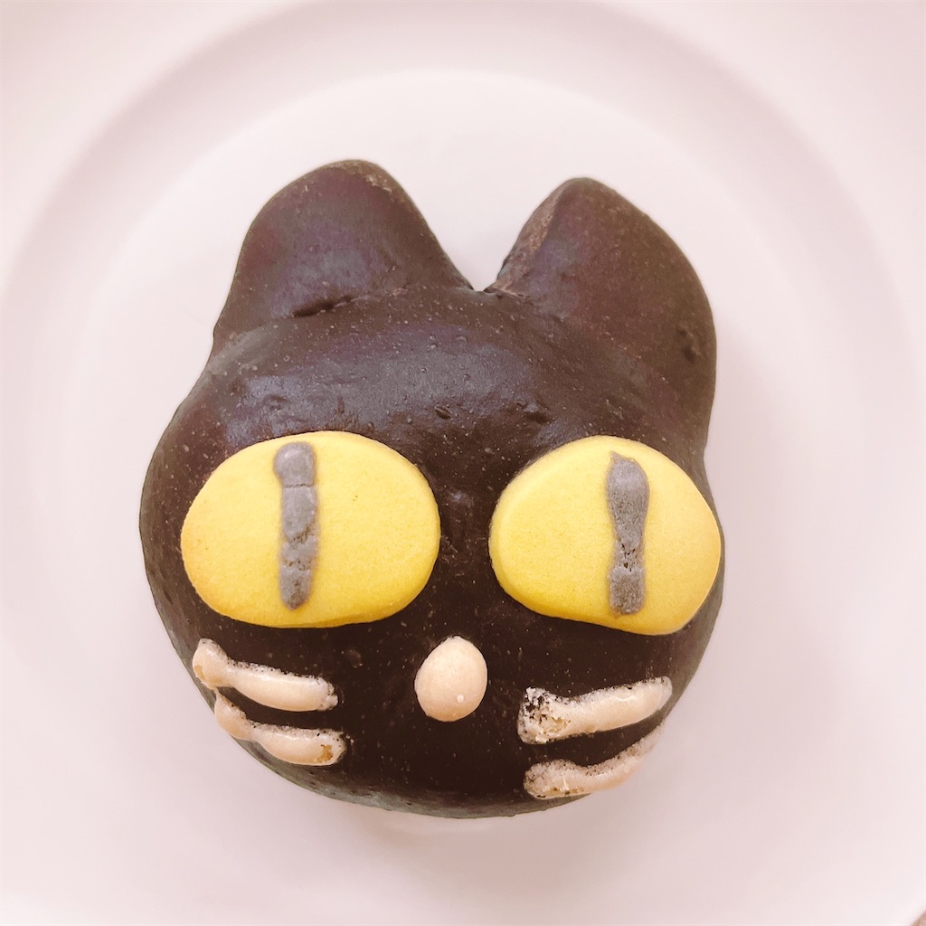 f:id:popohaumom:20250222134921j:image