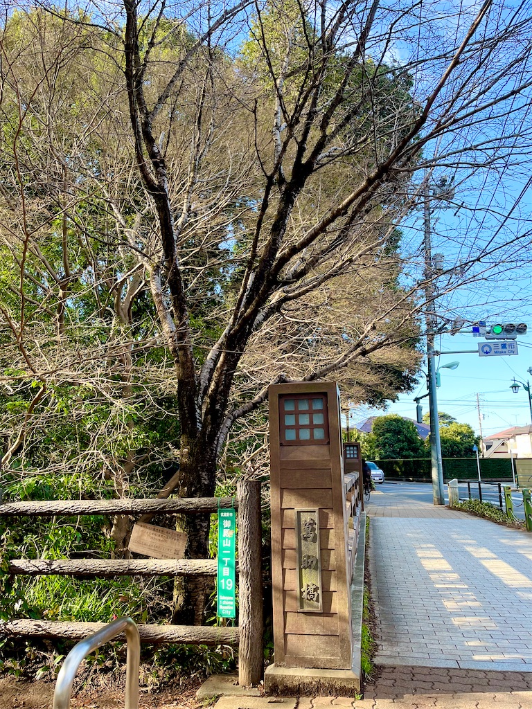 f:id:popohaumom:20250320194039j:image