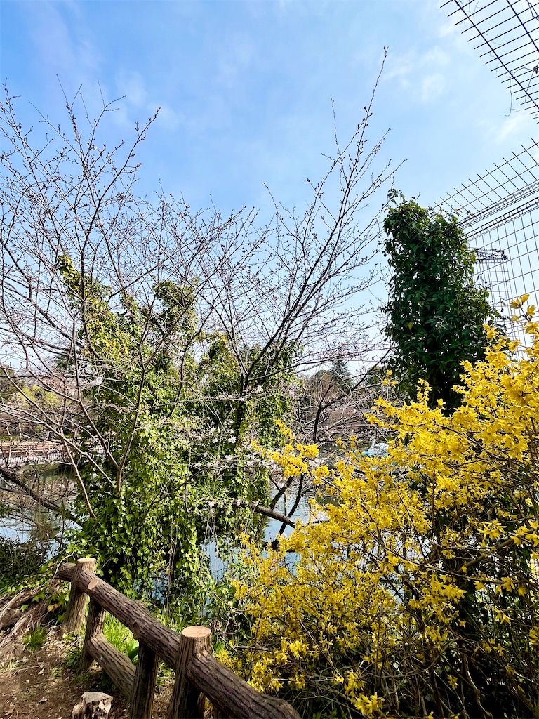 f:id:popohaumom:20250328131024j:image