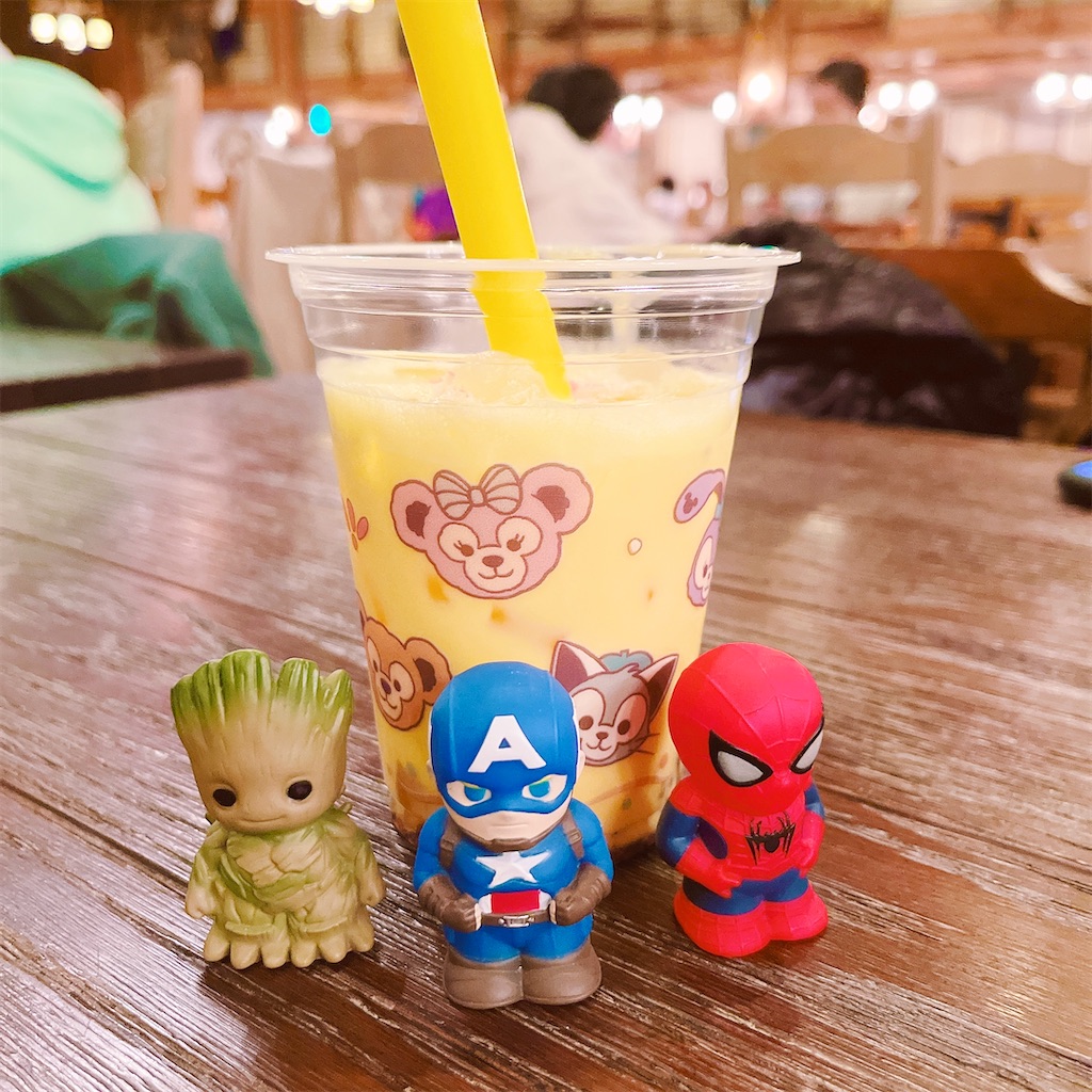 f:id:popohaumom:20250423132633j:image