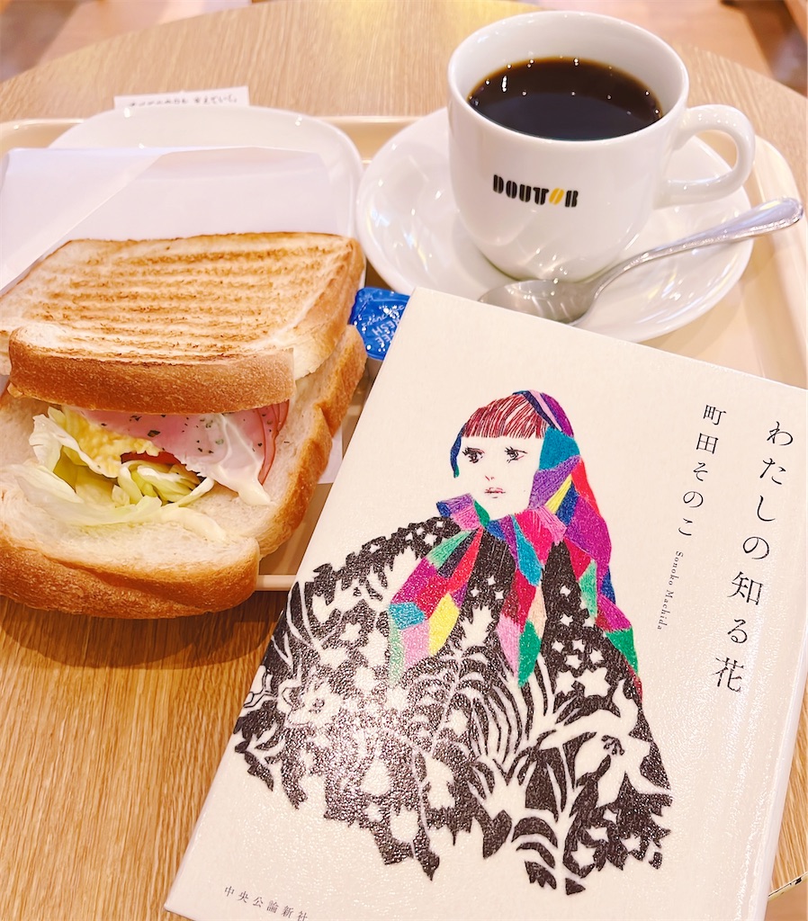 f:id:popohaumom:20250601214626j:image
