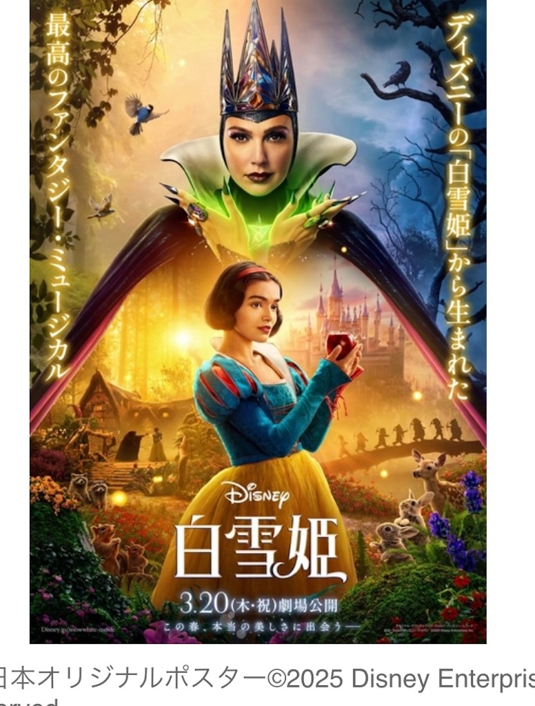 f:id:popohaumom:20250616200658j:image