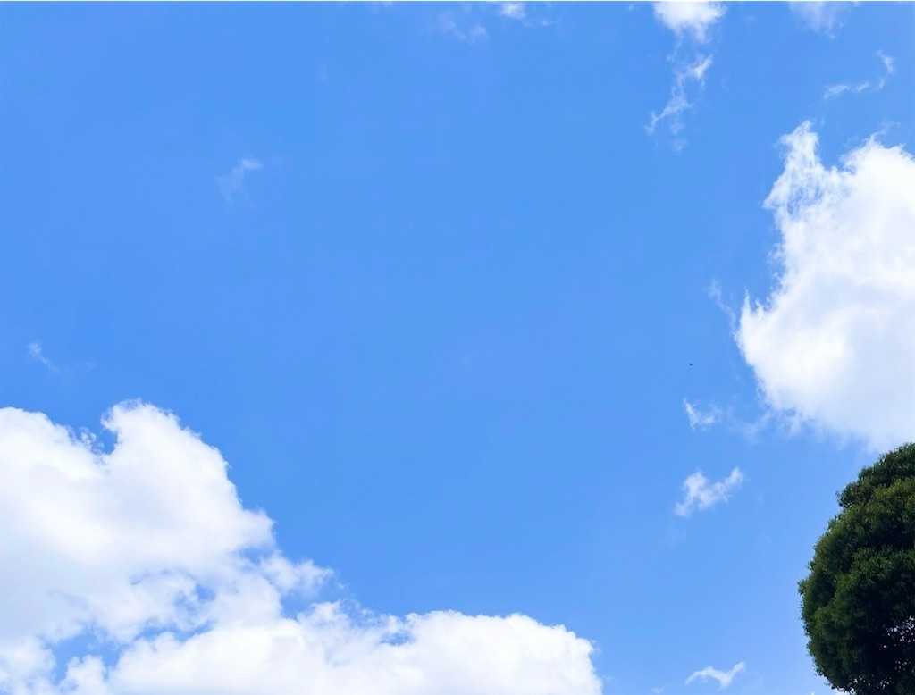 f:id:popohaumom:20251015202853j:image f:id:popohaumom:20251015202853j:image